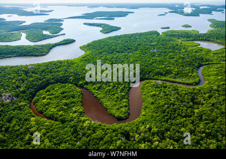 Veduta aerea subtropicale paludi di mangrovie del Parco nazionale delle Everglades. Florida, Stati Uniti d'America, febbraio 2012. Foto Stock