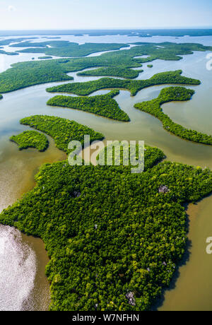 Veduta aerea subtropicale paludi di mangrovie del Parco nazionale delle Everglades. Florida, Stati Uniti d'America, febbraio 2012. Foto Stock