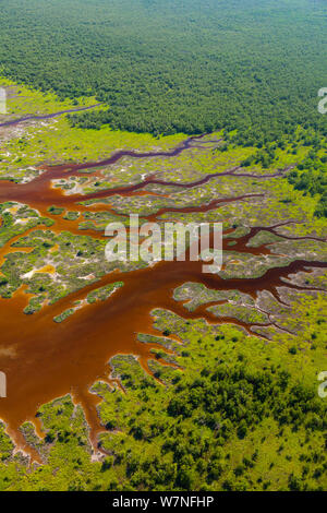 Veduta aerea subtropicale paludi di mangrovie del Parco nazionale delle Everglades. Florida, Stati Uniti d'America, febbraio 2012. Foto Stock