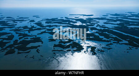 Veduta aerea subtropicale paludi di mangrovie del Parco nazionale delle Everglades. Florida, Stati Uniti d'America, febbraio 2012. Foto Stock