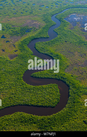 Veduta aerea subtropicale paludi di mangrovie del Parco nazionale delle Everglades. Florida, Stati Uniti d'America, febbraio 2012. Foto Stock