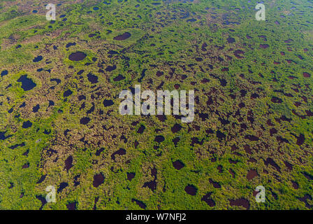 Veduta aerea subtropicale paludi di mangrovie del Parco nazionale delle Everglades. Florida, Stati Uniti d'America, febbraio 2012. Foto Stock