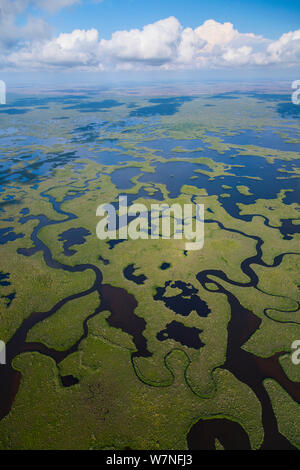 Veduta aerea subtropicale paludi di mangrovie del Parco nazionale delle Everglades. Florida, Stati Uniti d'America, febbraio 2012. Foto Stock