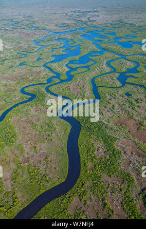 Veduta aerea subtropicale paludi di mangrovie del Parco nazionale delle Everglades. Florida, Stati Uniti d'America, febbraio 2012. Foto Stock