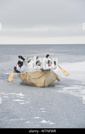 Inupiaq sussistenza pala whalers loro umiak - o guarnizione barbuto barca della pelle - e rompere il ghiaccio sottile formando il filo interrotto, consentendo il passaggio di balene bowhead molla durante la stagione di caccia alla balena. Mare Chukchi, offshore da Barrow, Arctic costa di Alaska, aprile 2012. Foto Stock