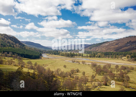 Mar Lodge Estate e il fiume Dee. Deeside, Scozia, aprile 2012. Foto Stock