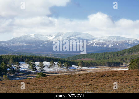 Lochnagar in primavera con la neve sulle cime. Deeside, Scozia, aprile 2012. Foto Stock