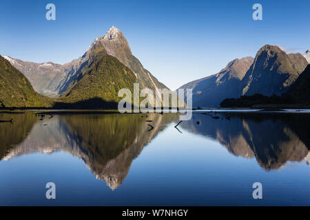 La mattina presto luce su Mitre Peak (1683m) riflesso nelle calme acque di Milford Sound; Milford Sound, Parco Nazionale di Fiordland, Southland, South Island, in Nuova Zelanda. Novembre, 2007 Foto Stock