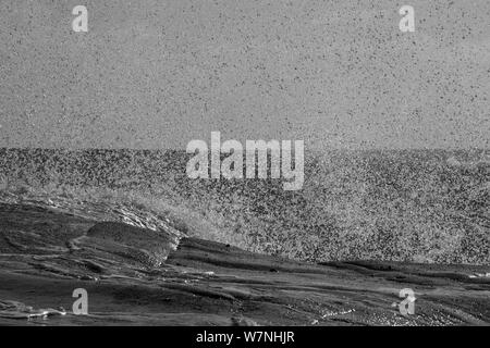 Una immagine in bianco e nero di un onda che si schiantano contro le rocce spray creando una parete d'acqua. Foto Stock