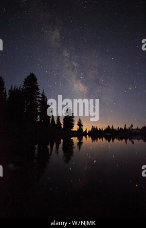 Lago con riflessi di stelle della Via Lattea e stagliano alberi, Parco nazionale vulcanico di Lassen, CALIFORNIA, STATI UNITI D'AMERICA Foto Stock