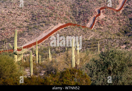 Muro di confine stabilito di dividere gli Stati Uniti dal Messico dividendo il deserto, vicino Sonoyta, Sonora, nord del Messico. Foto Stock