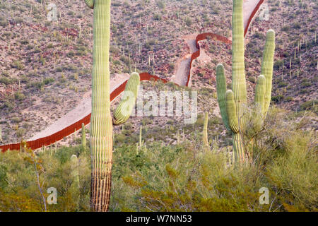 Muro di confine stabilito di dividere gli Stati Uniti dal Messico dividendo il deserto, vicino Sonoyta, Sonora, nord del Messico. Foto Stock