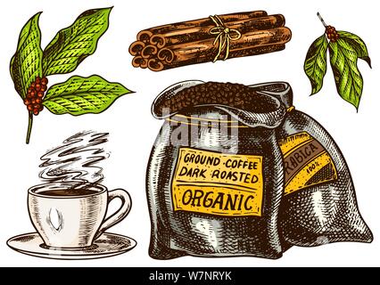 Set di caffè in stile vintage. Iscrizione calligrafico e bastoncini di cannella, il sacco e il Cup e foglie. Disegnato a mano retrò inciso schizzo per etichetta o Illustrazione Vettoriale