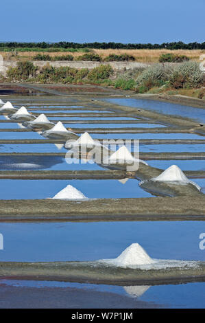 Salina per la poduction di Fleur de sel / sale di mare sull'isola Ile de Re, Charente-Maritime, Francia, settembre 2012 Foto Stock