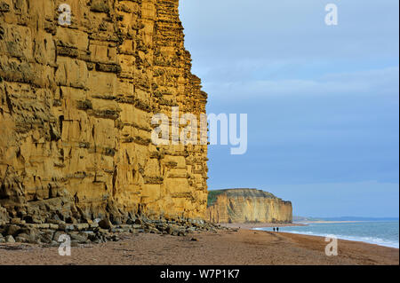 East Cliff, in pietra arenaria, vicino al West Bay lungo la Jurassic Coast, Dorset, Regno Unito, novembre 2012 Foto Stock