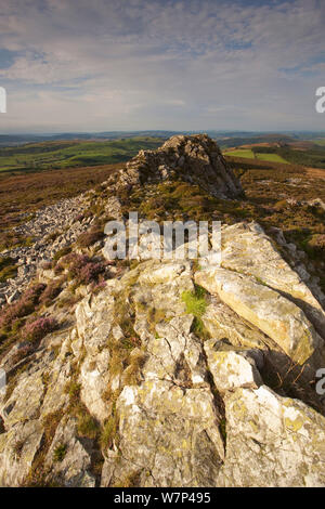 Sperone di roccia formata di quarzite Ordovician su Stiperstones Ridge, Stiperstones Riserva Naturale Nazionale, Shropshire, Inghilterra, Regno Unito, Agosto 2012. Foto Stock