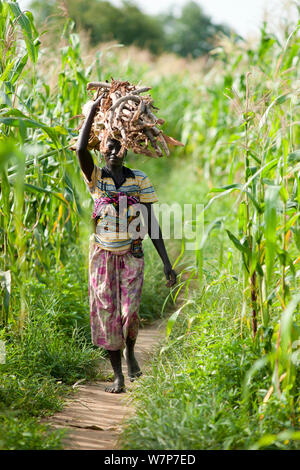 Donna che trasportano legna da ardere guidato nella città di Maroua per giorno di mercato, Maroua a Kouserri autostrada, Camerun, Settembre 2009 Foto Stock