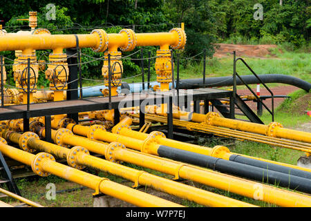 Oleodotto con area di foresta cancellata per consentire una facile ispezione fo gli oleodotti. Gamba comune, Ogooue-Maritime / Nyanga, Gabon, febbraio 2009. Foto Stock