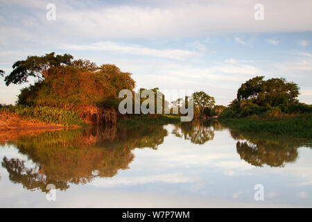 Affluente del Rio Tres Irmaos (tre fratelli fiume) nel Nord del Pantanal, Mato Grosso, Brasile Agosto 2011 Foto Stock
