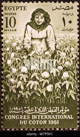 Campo di cotone egiziano sul francobollo Foto Stock