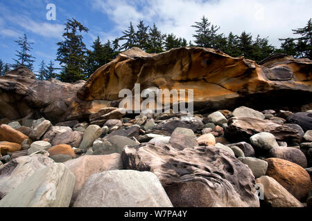 Le formazioni rocciose a Riva acri del parco statale vicino a Charleston, Oregon, USA, Giugno 2012 Foto Stock