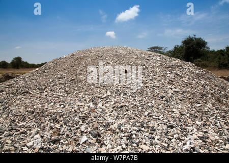 Memoriale al 1989 la masterizzazione di dieci tonnellate di avorio, tramite il presidente keniano Daniel arap Moi, il Parco Nazionale di Nairobi, Kenya, Ottobre 2012 Foto Stock