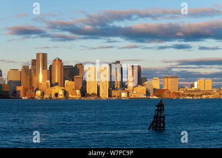 Skyline della città vista attraverso il porto all'alba, Boston, Massachusetts, USA 2009 Foto Stock