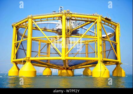 La Fattoria di Oceano 1, un intelligente oceano offshore presidio agricolo erogata dalla Cina alla Norvegia, è trainato a Qingdao City, est della Cina di Shandong p Foto Stock