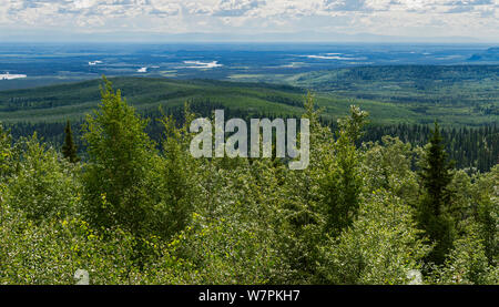 Panorama della foresta del fiume chena recreation area da chena hot springs guardando verso Fairbanks Foto Stock
