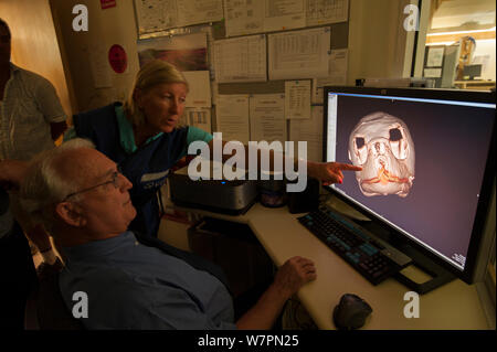 X-ray strutture a Cairns Imaging diagnostico. La scansione TC di feriti turtle 'Angie' dal Cairns Turtle Centro di riabilitazione, Queensland, Australia, Dicembre 2011 Foto Stock