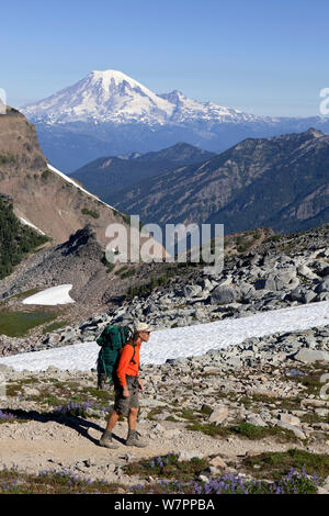 Escursionista sulla Pacific Crest Trail nel Got rocce deserto Gifford Pinchot National Forest. Washington, Stati Uniti d'America, Agosto 2012. Modello rilasciato Foto Stock