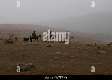 Tre pellegrini sul pony con loro Il Mastino tibetano cane impostato su off nella tempesta di neve per il Monte Kailash parikrama, Tarboche, Monte Kailash, Tibet Foto Stock