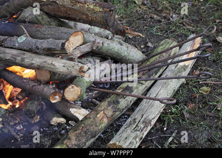 Fire utilizzato per il riscaldamento di branding su ferri pony round up, New Forest National Park, Hampshire, Inghilterra, Regno Unito, Settembre Foto Stock