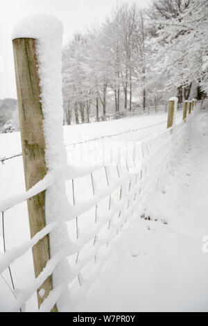 Recinzione, sentiero e gli alberi coperti di neve spessa dopo una notte di Blizzard, Wiltshire, Regno Unito, Gennaio 2013 Foto Stock