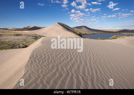 Le dune di sabbia a Bruneau Dunes State Park, con il lago in lontananza, Idaho, Stati Uniti d'America, Luglio 2011 Foto Stock