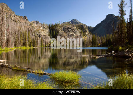 Lago di Echo in sette demoni montagne - parte dei sette demoni - Hells Canyon Wilderness Area, Idaho, Stati Uniti d'America, Settembre 2011 Foto Stock