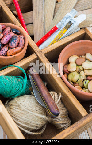 Banco di incapsulazione con salvati semi compresi una pentola di Runner Fagioli (Phaseolus coccineus) e Fave (Vicia faba) e altri articoli per giardinaggio Foto Stock