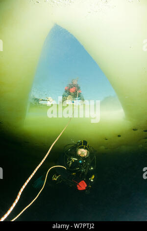 Scuba Diver affiorante con la persona che tiene la corda visibile attraverso il foro nel ghiaccio, Circolo Polare Artico Dive Center, Mare Bianco, Carelia, Russia settentrionale Marzo 2010 Foto Stock