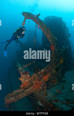 Subacqueo sul relitto di HMNZS Canterbury, Baia delle Isole, Nuova Zelanda, Gennaio 2013. Modello rilasciato. Foto Stock