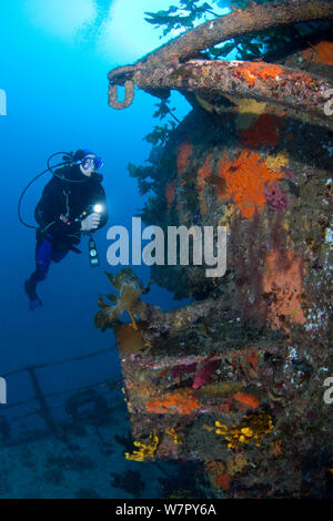 Subacqueo sul relitto di HMNZS Canterbury, Baia delle Isole, Nuova Zelanda, Gennaio 2013. Modello rilasciato. Foto Stock