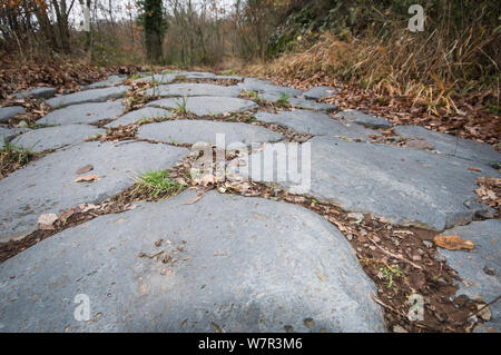 Antica Strada Romana realizzato in basalto vicino a Bolsena, Lazio. L'Italia, Settembre Foto Stock