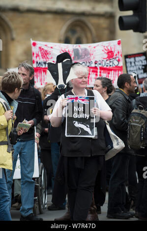 Anti badger cull marcher fuori le case del Parlamento, Holding firmano dicendo "non colpevole" Londra 01 Giugno 2013 Foto Stock
