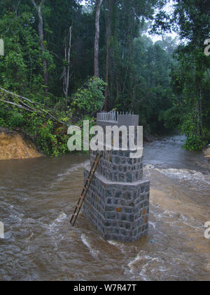 Foresta pluviale africana la penetrazione di trasporto - la costruzione della strada e infrastruttura associata consentendo di accedere a precedentemente regioni isolate. Il Camerun, Africa centrale, Agosto 2009. Foto Stock