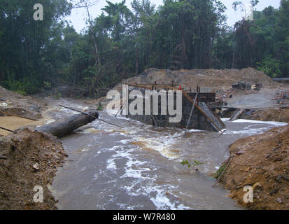 Foresta pluviale africana la penetrazione di trasporto - la costruzione della strada e infrastruttura associata consentendo di accedere a precedentemente regioni isolate. Il Camerun, Africa centrale, Agosto 2009. Foto Stock