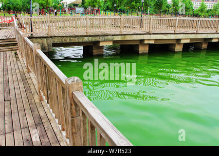 Vista di un focolaio di alghe blu-verdi sul lago Chaibo nella città di Wuhan, Cina centrale della provincia di Hubei, 3 giugno 2017. Un focolaio di blu-verde alg Foto Stock