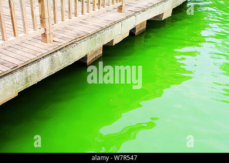 Vista di un focolaio di alghe blu-verdi sul lago Chaibo nella città di Wuhan, Cina centrale della provincia di Hubei, 3 giugno 2017. Un focolaio di blu-verde alg Foto Stock