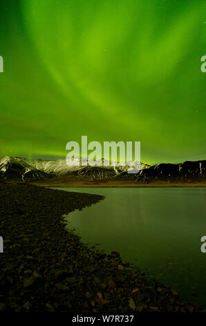 Aurora Boreale visualizzare sul fiordo di notte, West Islanda, Gennaio 2013 Foto Stock