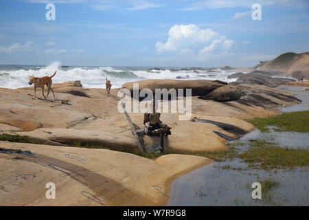 Piccola statua in legno sulla costa dell'Oceano Indiano, Yala NP, Sri Lanka, Aprile 2013 Foto Stock