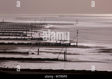 Il lavaggio in sera bassa marea, Norfolk, Regno Unito Agosto Foto Stock