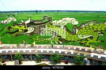 Un 3D di riso paddy pittura chiamato 'Soaring Dragon nel campo " è sul display in risaie in Shenyang City, a nord-est della Cina di provincia di Liaoning, 22 Foto Stock